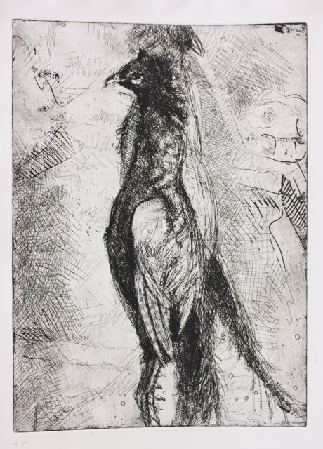 Pheasants; etching, 39 x 29 cm, 2006