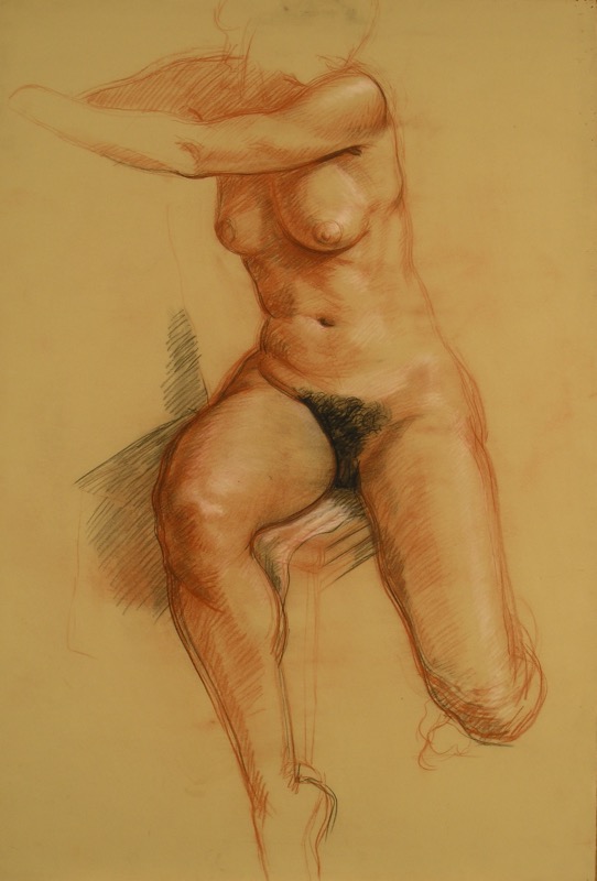 Figure Study; chalk on paper, 112 x 76 cm, 1991