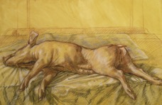 Pig Study; chalk on paper, 112 x 76 cm, 1995.jpg
