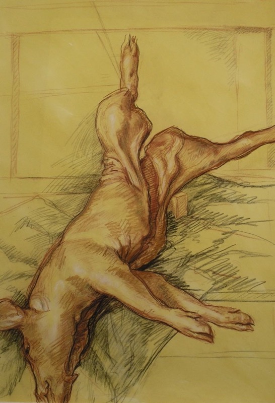 Pig Study II; chalk on paper, 112 x 76 cm, 1995 copy