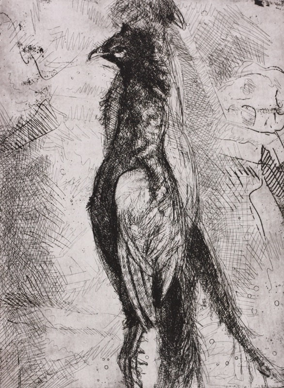 Pheasants; etching, 39 x 29 cm, 2006