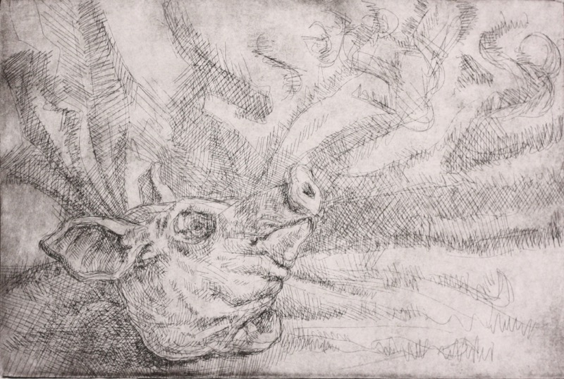 Pig Head II; etching, 16 x 25 cm, 2011